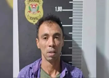 detenção, captura, custódia