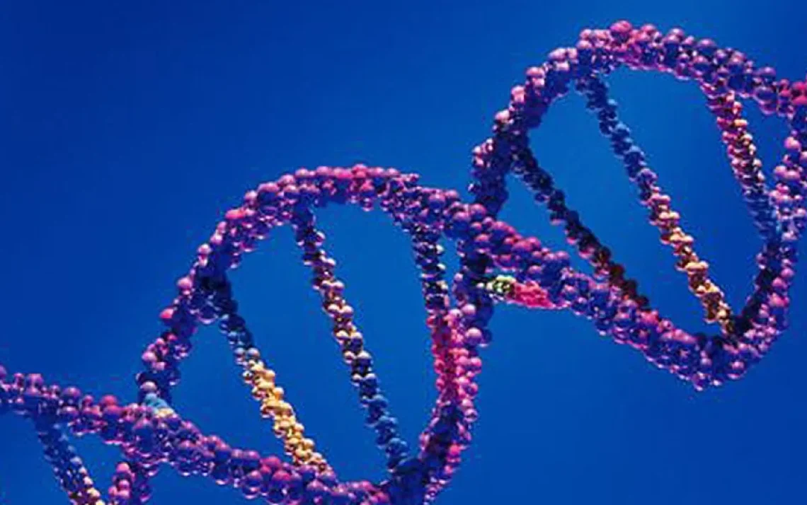 sequenciamento genético, análise do DNA, estudo do genoma