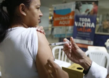 imunização, inoculação, vacina, vacina contra a gripe, influenza vaccine;