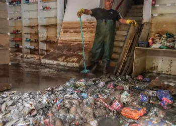 sistema de saúde, atendimento na saúde, trabalho conjunto;