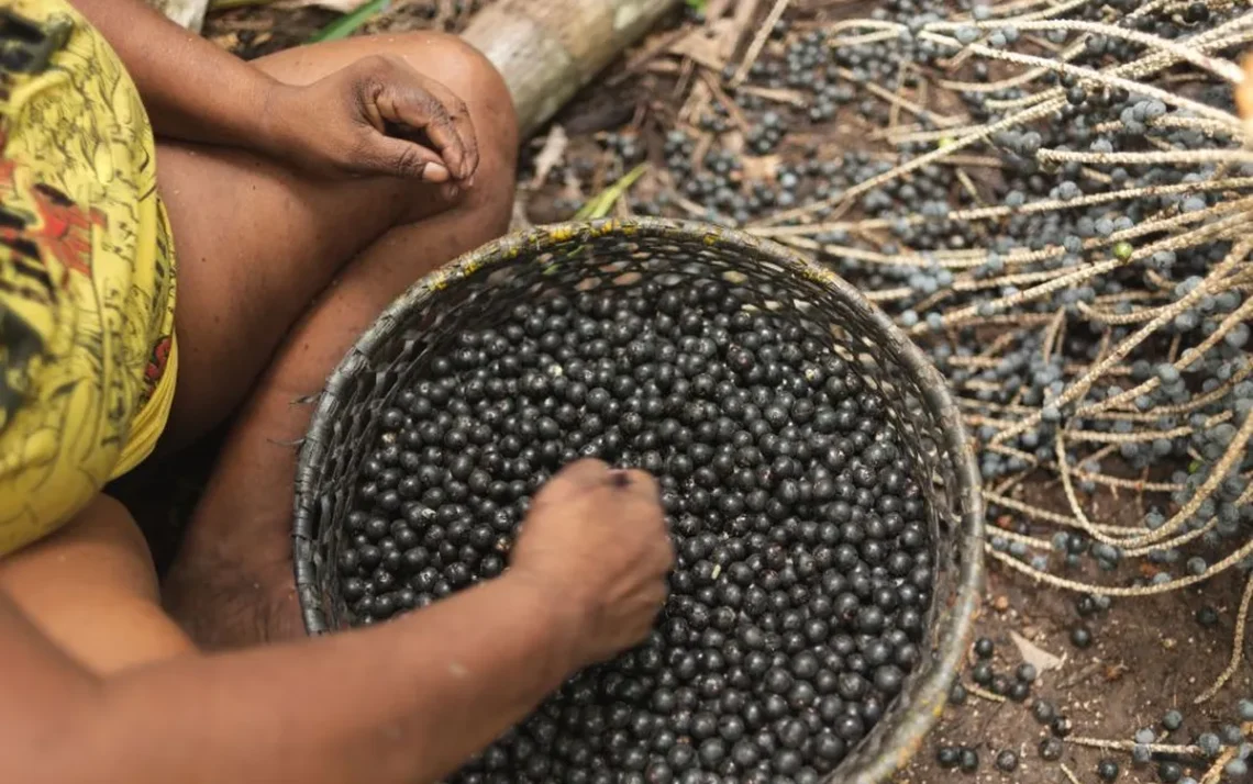 mortes, materna, mortes, de mães