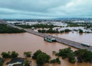 região, grupos, consórcios, estados, da região, governos, efetivos, desastres, naturais, irmãos, gaúchos;