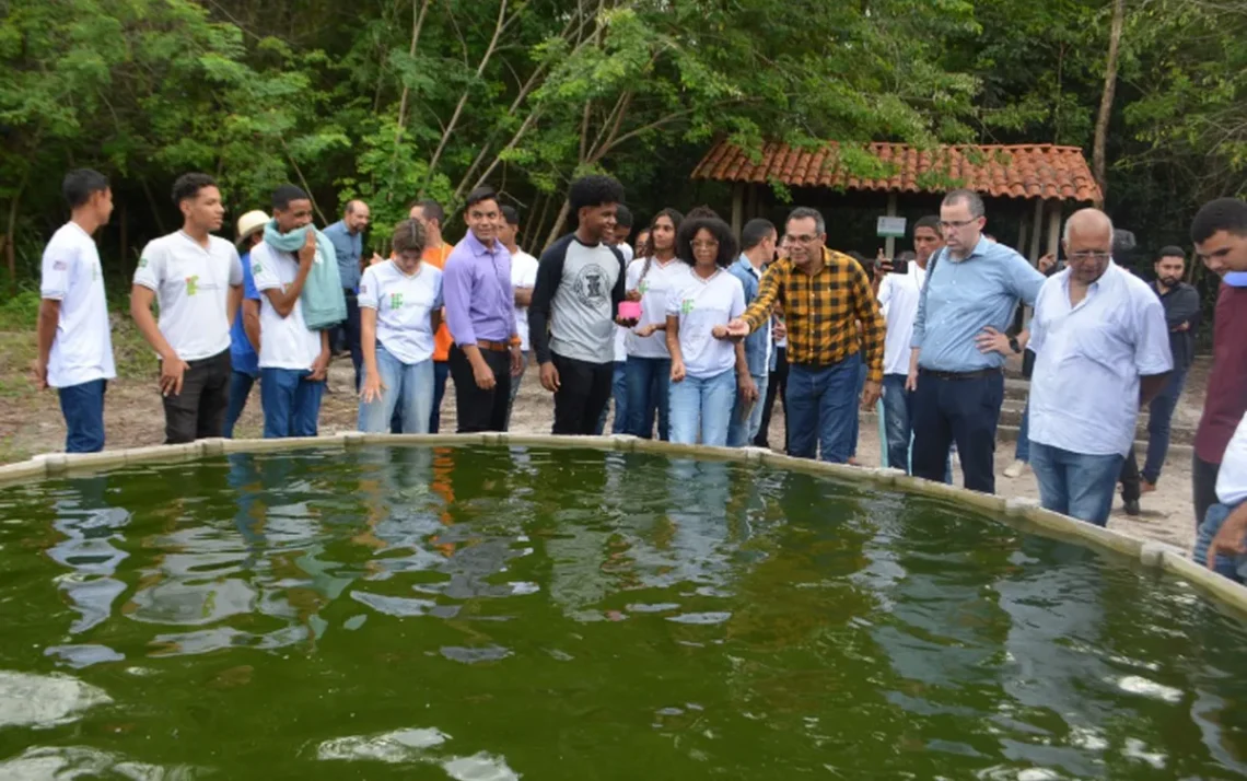 Projeto-de-Combate-à-Fome;