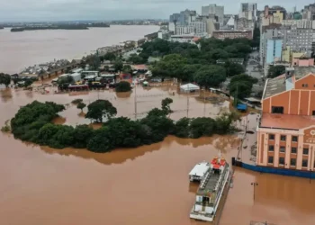 doença bacteriana, infecção, leptospira, casos, leptospirose;