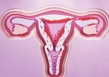 tratamento-novo para câncer-endométrio, tratamento-novo para deficiência-enzimas-DNA, novo-tratamento para câncer-endométrio, novo-tratamento para deficiência-enzimas-reparo-DNA;