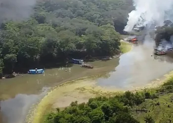 metal, líquido, poluição, ambiente, intoxicação, aguda;