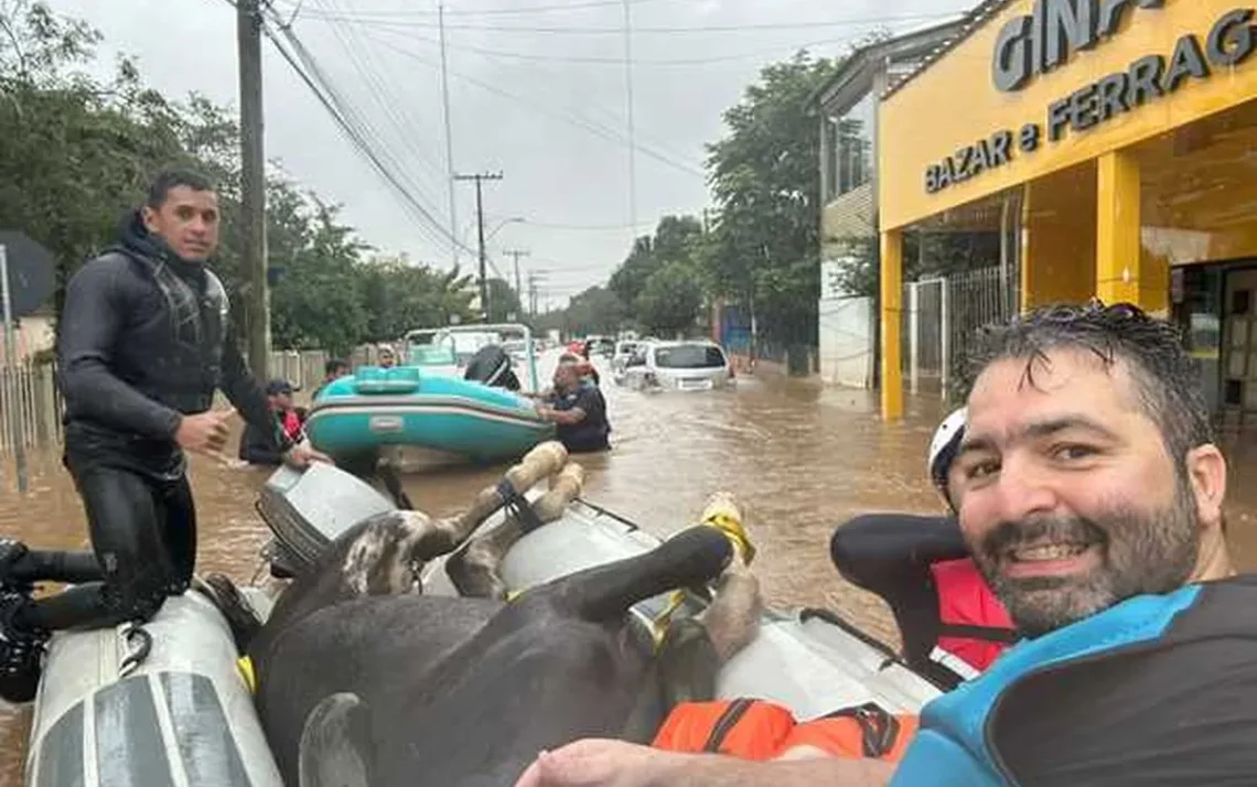 ajuda, salvamentos;