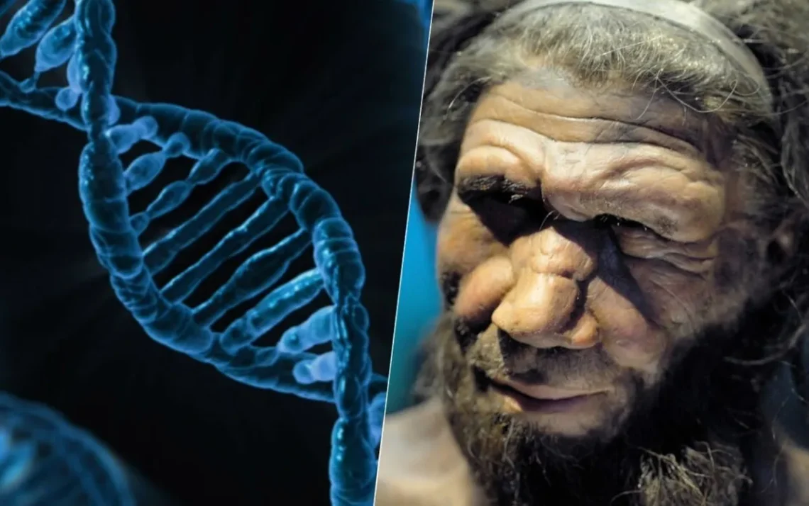 DNA, de Neandertal;