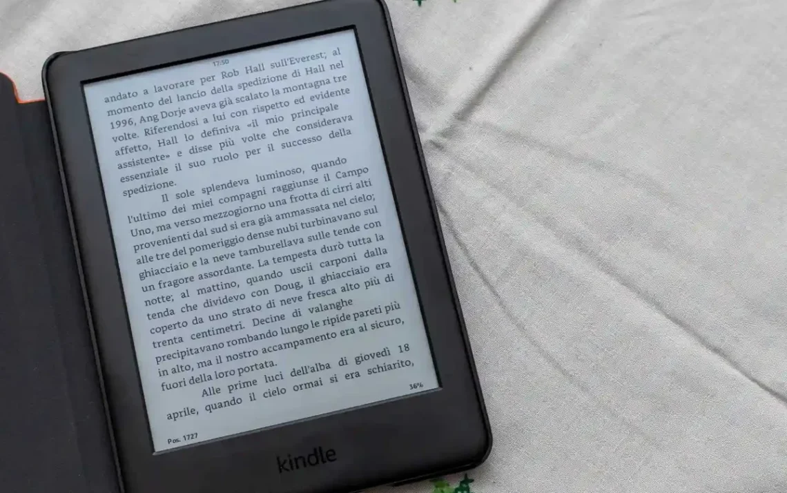 e-readers, leitores, digitais, dispositivos, de leitura;