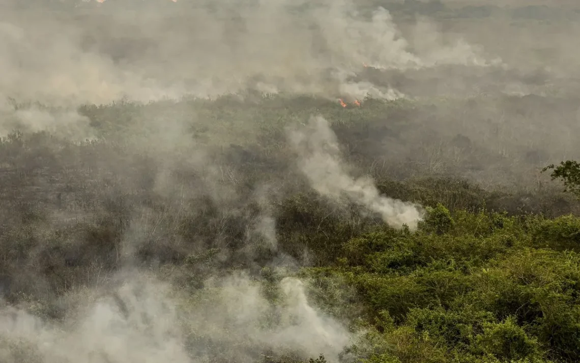 queimadas, queimaduras, focos, de fogo;