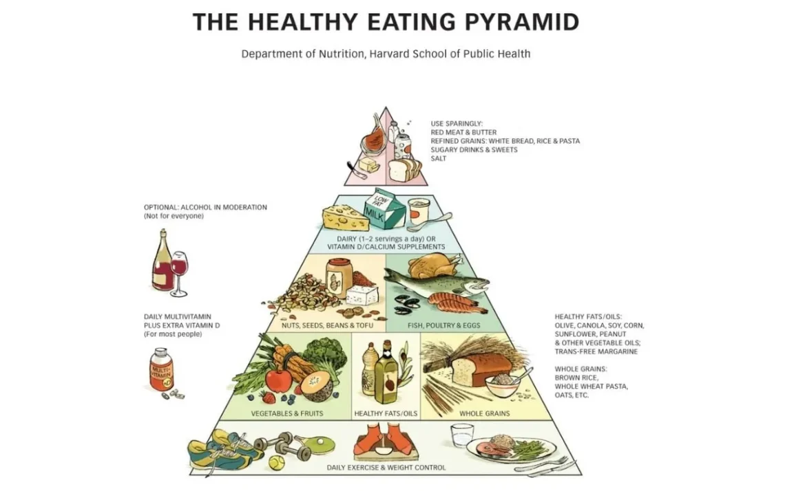 esquema, alimentar;