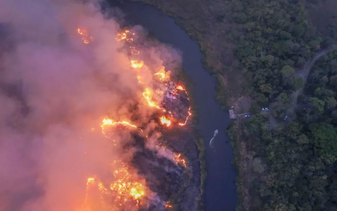 incêndios, florestais, queimas florestais, focos de queimas;