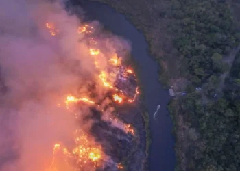 incêndios, florestais, queimas florestais, focos de queimas;