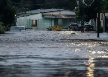 doença bacteriana, infecção, por Leptospira, confirmados;