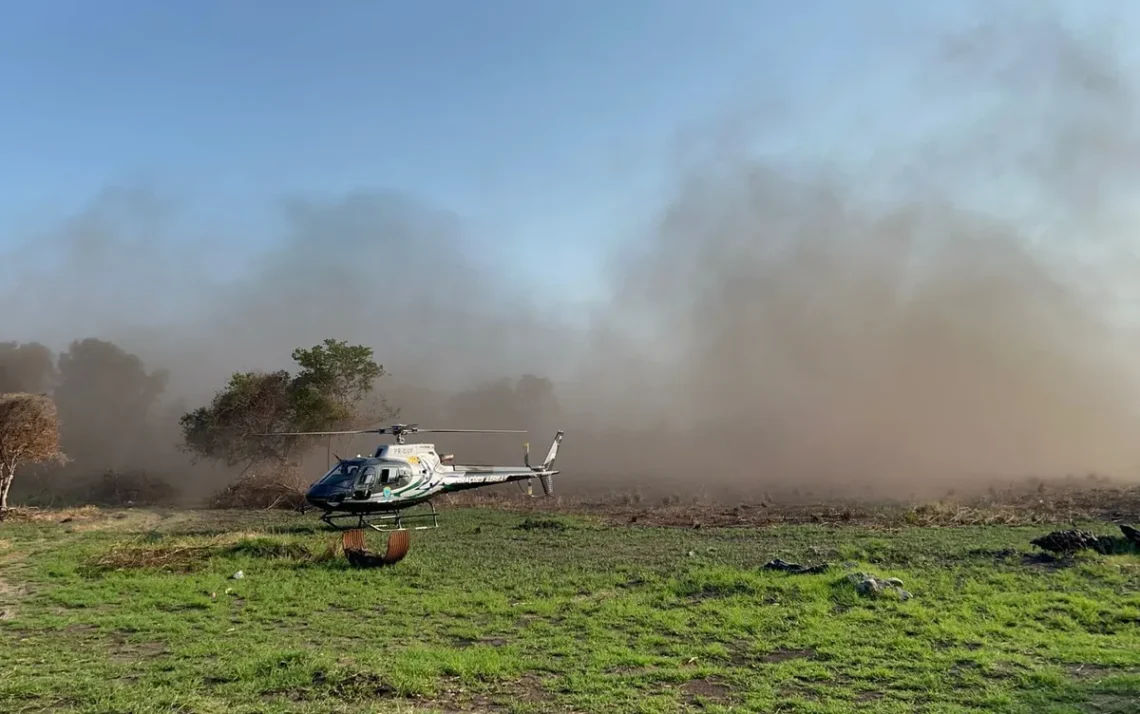 queimadas, focos, de incêndio, queimadas, incêndios, queimadas;