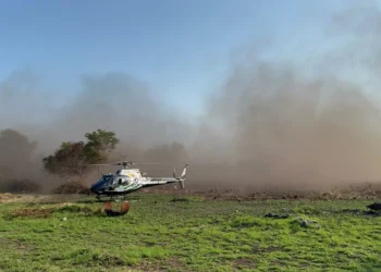 queimadas, focos, de incêndio, queimadas, incêndios, queimadas;