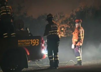 queimadas, incêndios, fogo;