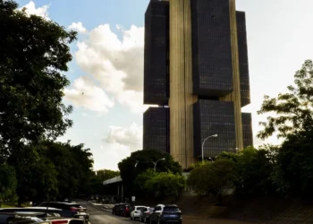 independência, liberdade, auto, governança;