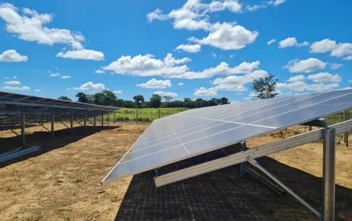 ecologicamente correto, amigável ao meio, ambiente sustentável;