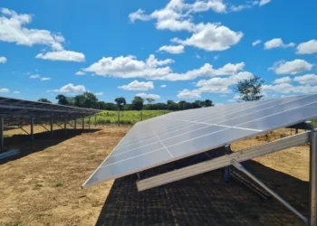 ecologicamente correto, amigável ao meio, ambiente sustentável;