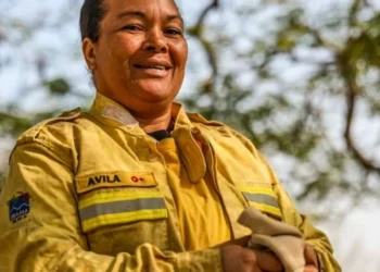 combatente, de-incêndios, bombeiro, voluntário, socorrista;