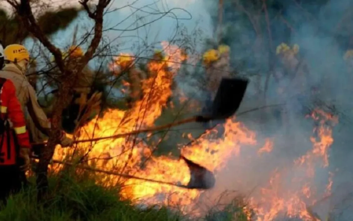 incêndios, focos, de incêndio, queimadas;