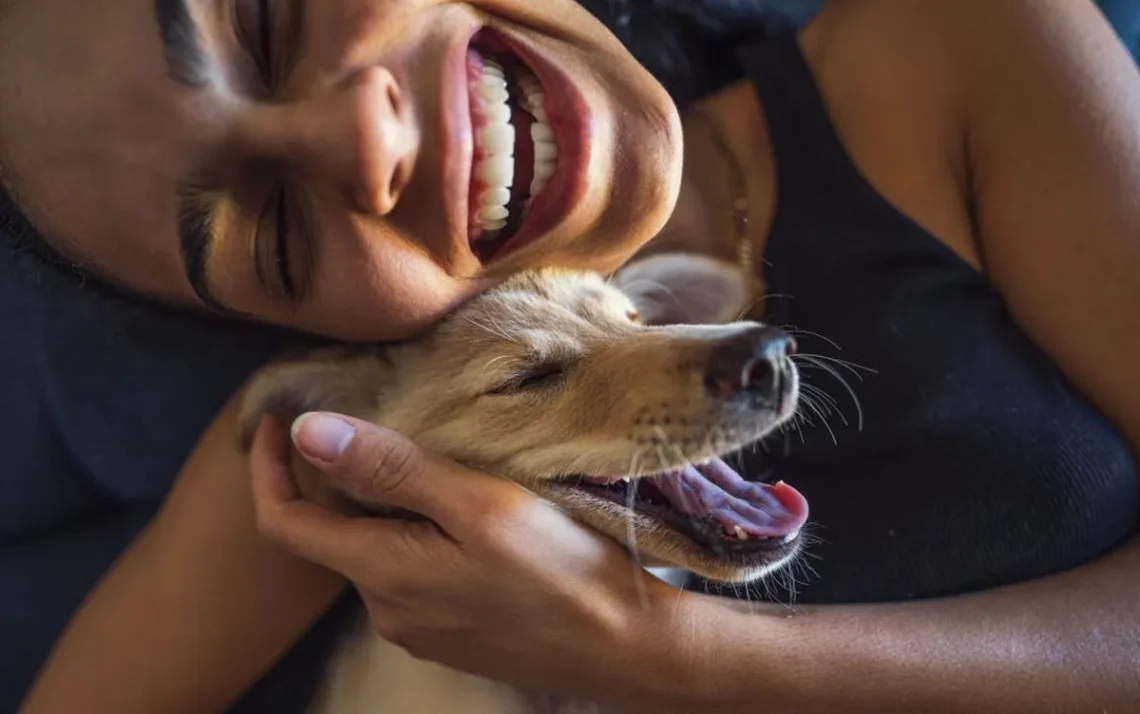 animais, animais-de-companhia