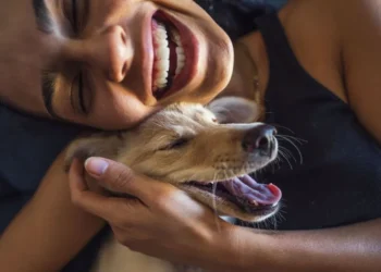 animais, animais-de-companhia