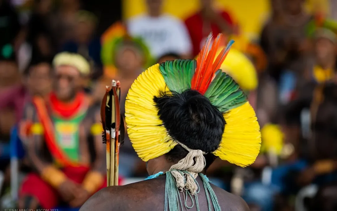 idiomas indígenas, línguas nativas, línguas tradicionais;