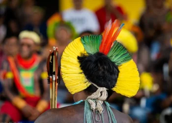 idiomas indígenas, línguas nativas, línguas tradicionais;