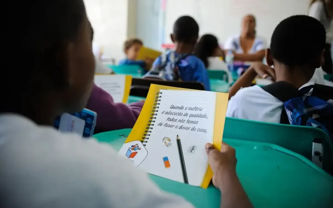 profissionais temporários, docentes temporários, educadores temporários;