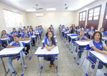 ensino, aprendizagem, escolar;