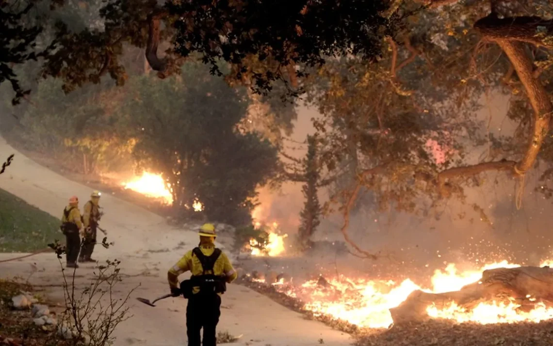 queimadas, focos, incêndios florestais;