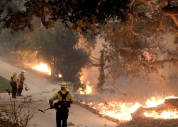 queimadas, focos, incêndios florestais;