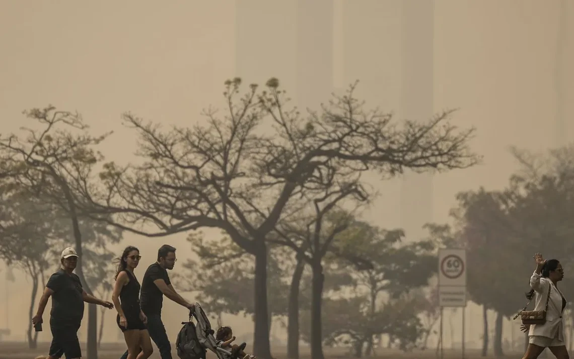 fogo, neblina, poluição;