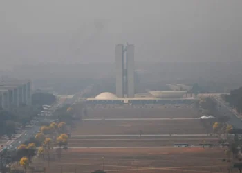 Ministério da Saúde;