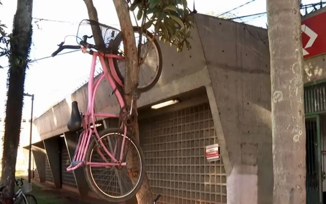 estacionamentos, de bicicletas, gratuitos, pagos;