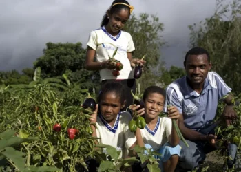 Mudanças climáticas, degradação do meio ambiente, catástrofes climáticas, extremos climáticos;