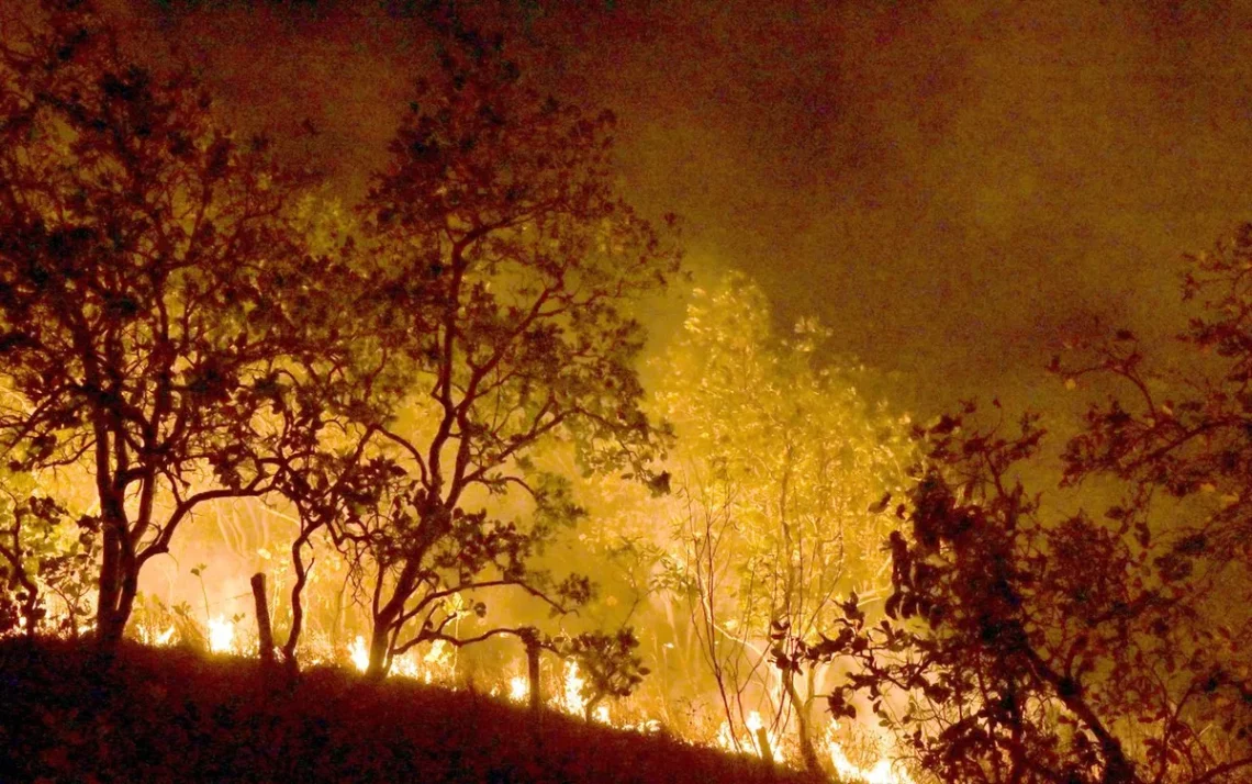 incêndios, focos de incêndio, chamas;