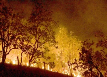 incêndios, focos de incêndio, chamas;