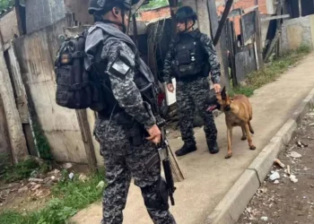 ações policiais, operações de segurança, incursões policiais, ações da polícia;