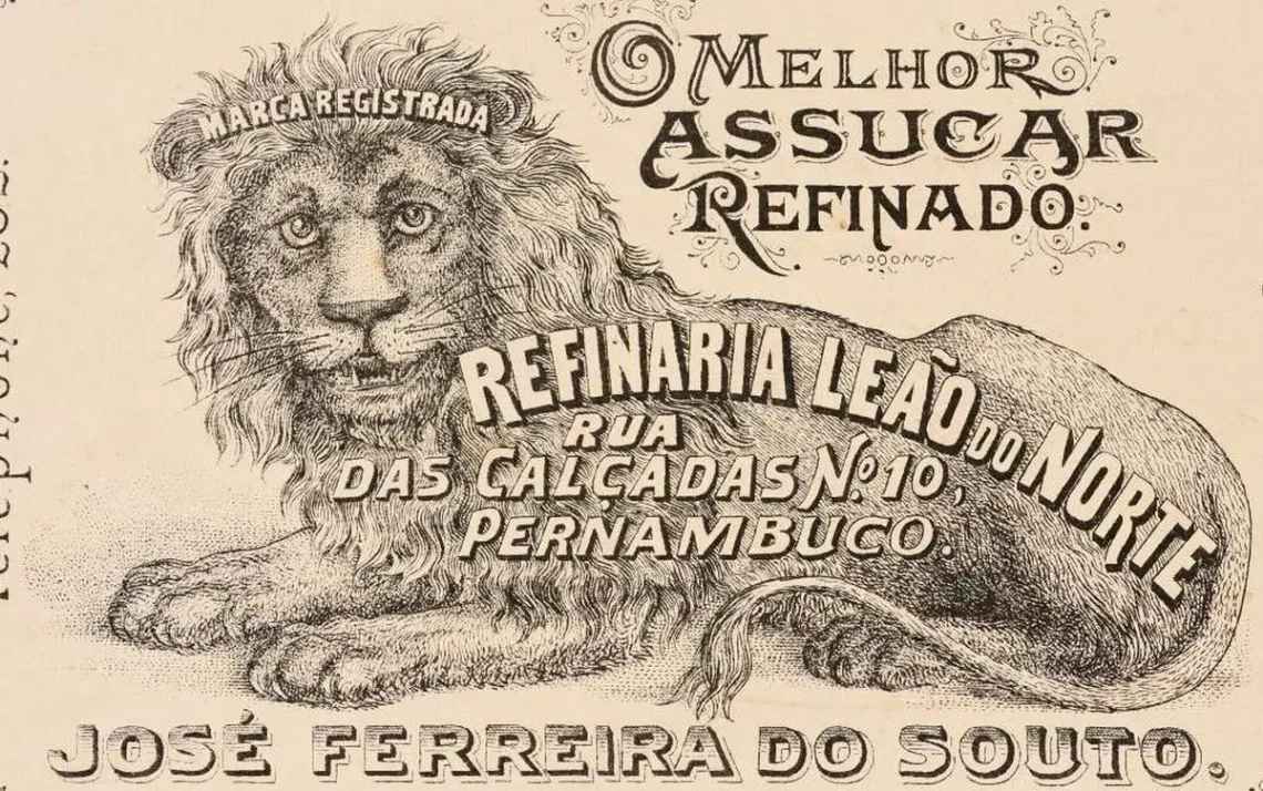 Registro de 1904. Primeira marca com “leão do Norte” encontrada pela pesquisadora na Junta Comercial de Pernambuco. Foto: Reprodução Casa Leão, de 1939, vende produtos de caça e pesca pelo filho do fundador, que faz questão de esclarecer “não é do Sport”. Foto: Divulgação A pesquisadora Gisela Abad, que pesquisou a trajetória do “leão do Norte” em marcas e rótulos comerciais. Foto: Divulgação O rótulo da padaria, de 1904, quase não foi aprovado porque havia o da refinaria, do mesmo ano. Foto: Reprodução Neste rótulo de sabão, de 1907, o leão aparece amistoso. A imagem foi se suavizando ao longo das décadas. Foto: Reprodução - Todos os direitos: @ Terra