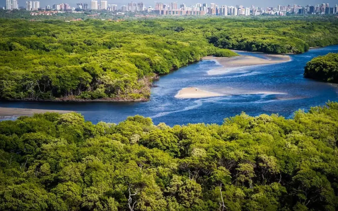 instituto ambiental, autoridade ambiental, agência ambiental;