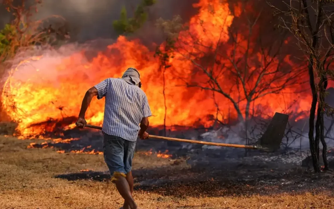 incêndios, focos de incêndio, queimadas';