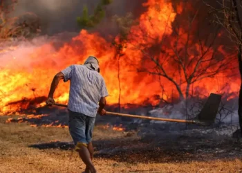 incêndios, focos de incêndio, queimadas';