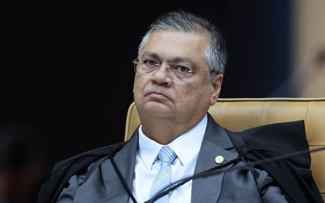 Ordem, dos Advogados, do Brasil, CFOAB, Conselho, Federal da, OAB;