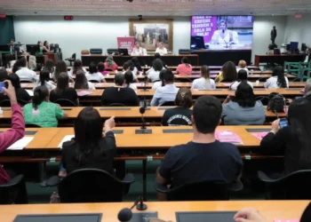 Ensino, Instrução, Aprendizado;