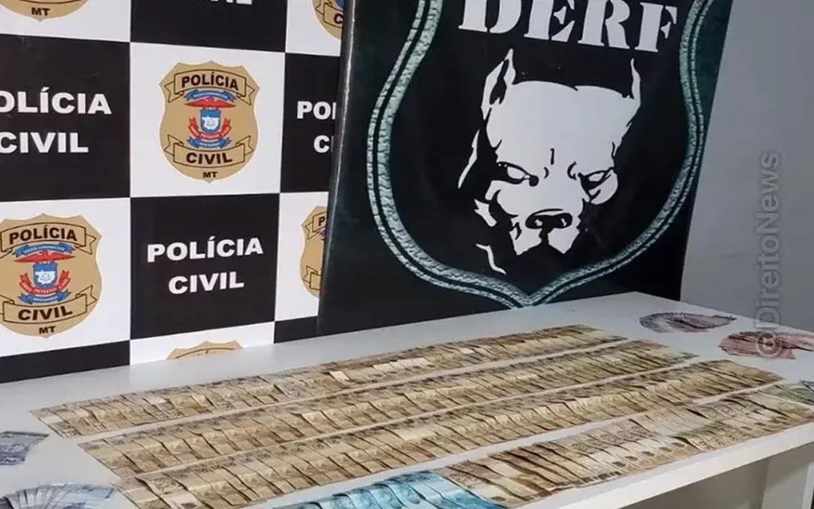 detenção, captura, apreensão;