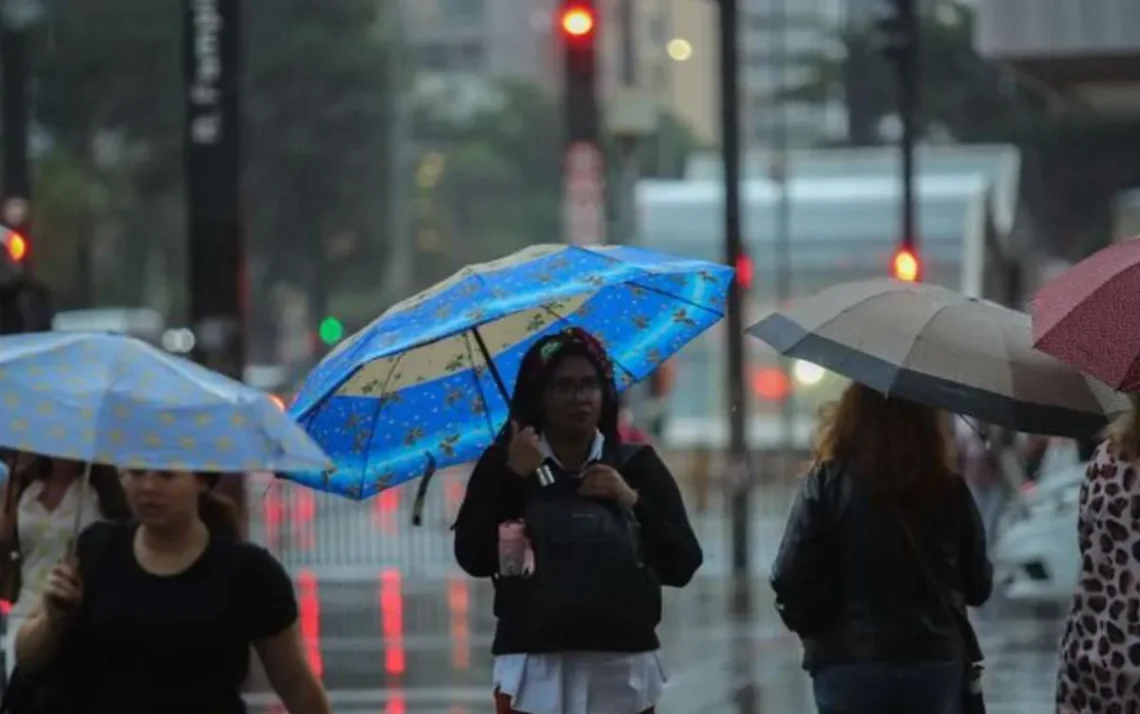 precipitação, tempestade, aguaceiro;