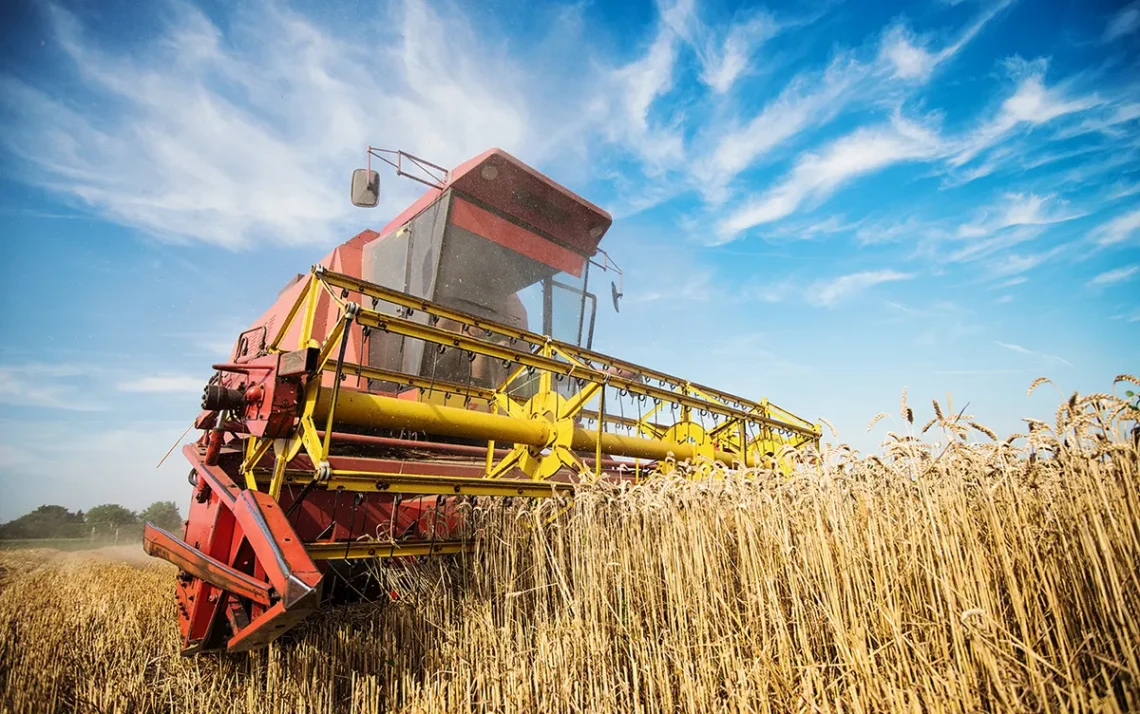 agricultura, setor, produtivo, setor, agrícola;